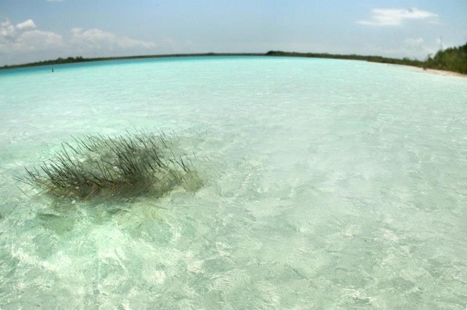 Casa China Bacalar Ngoại thất bức ảnh